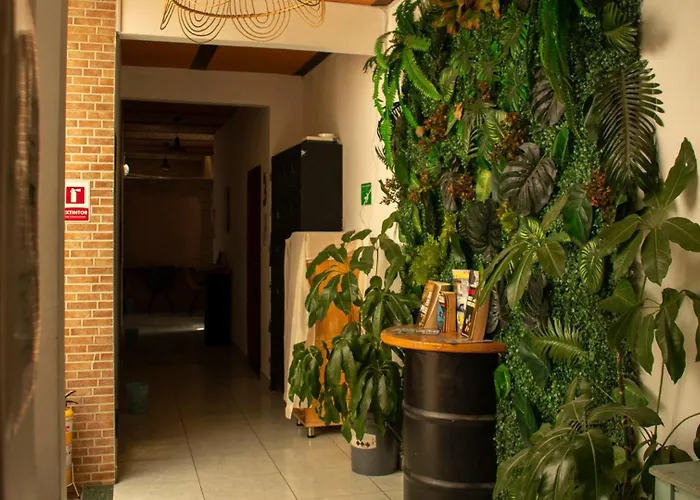 Oasis Hostel Medellin